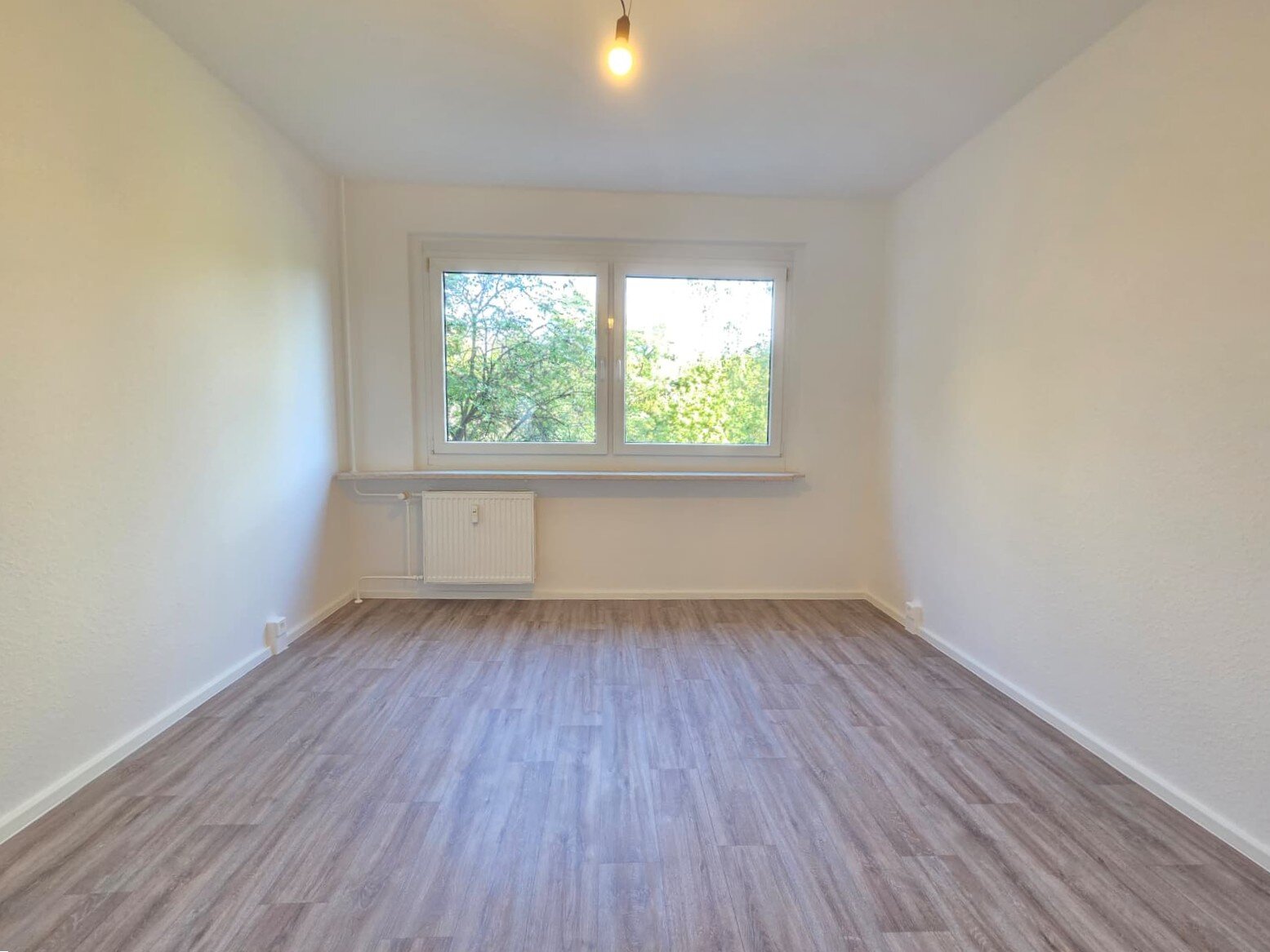 Curt-Querner-Straße 3, 01219 Dresden