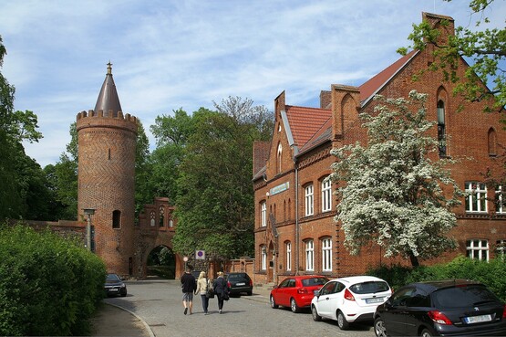 Wohnung in Neubrandenburg mieten und am Tollensesee leben
