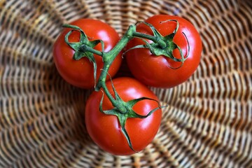tomaten.jpg Gemüse aus den eigenen vier Wänden